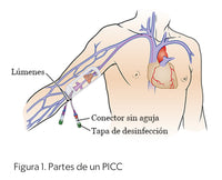 Simulador de cateter central de insercion periférica PICC
