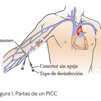 Simulador de cateter central de insercion periférica PICC