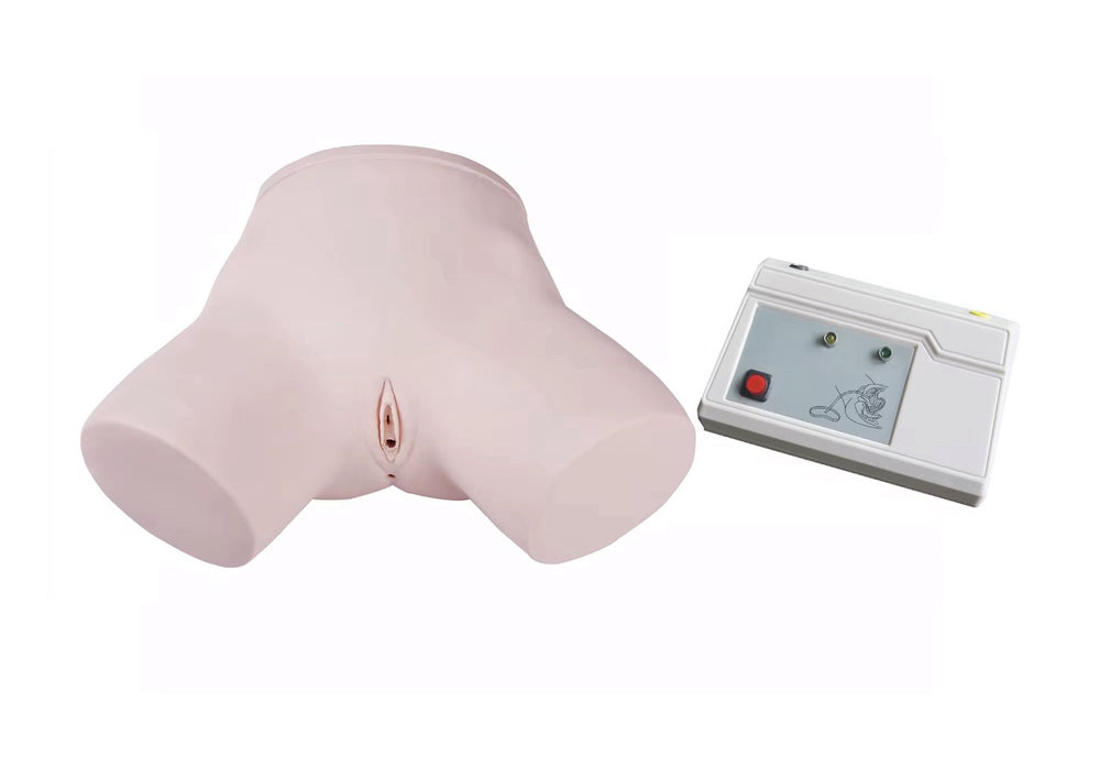 Simulador de Cateterismo y enema Bisexual Monitor Electrónico Avanzado