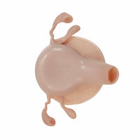 Simulador Uterino histeroscopia  utero endoscopia