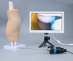 Simulador artroscopia cirugia de rodilla