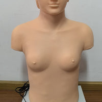 Simulador Palpacion cardiopulmonar computarizado femenino o masculino