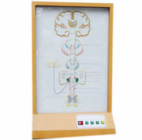 Simulador eléctrico neuronal del sentido del Gusto
