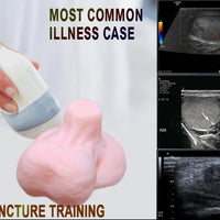 simulador testicular phantom de biopsia puncion - ultrasonido