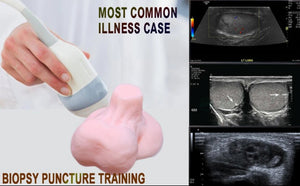 simulador testicular phantom de biopsia puncion - ultrasonido