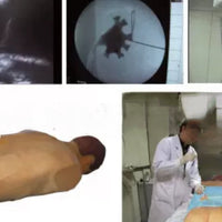 Simulador de Nefroscopia percutánea guiada por ultrasonido rayos X Avanzado
