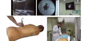 Simulador de Nefroscopia percutánea guiada por ultrasonido rayos X Avanzado