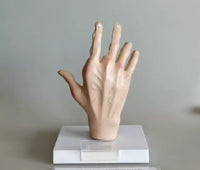 Modelo de Mano artritis reumatoide
