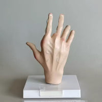 Modelo de Mano artritis reumatoide