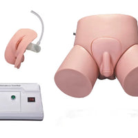 Simulador de Cateterismo y enema Bisexual Monitor Electrónico Avanzado