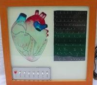 Simulador de conduccion cardiaca corazon
