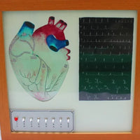 Simulador de conduccion cardiaca corazon