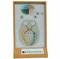 Simulador electrónico de pupila ojo humano oftalmología
