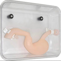 Modelo simulador laparoscopia de entrenamiento endoscopio estomago de cirugia gastroscopica