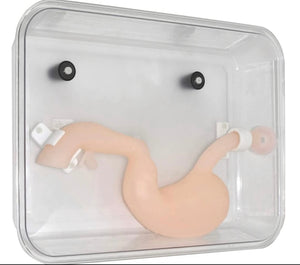 Modelo simulador laparoscopia de entrenamiento endoscopio estomago de cirugia gastroscopica