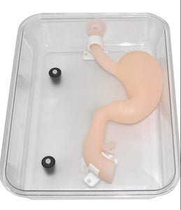 Modelo simulador laparoscopia de entrenamiento endoscopio estomago de cirugia gastroscopica
