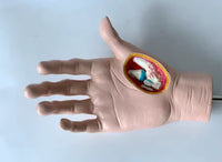 Modelo de Mano patologia tendon y ligamento osteoartritis
