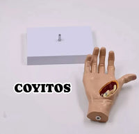 Modelo de Mano patologia tendon y ligamento osteoartritis
