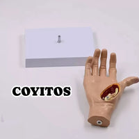 Modelo de Mano patologia tendon y ligamento osteoartritis