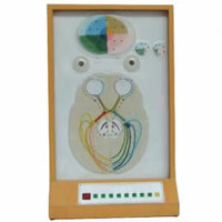 Simulador electrónico de pupila ojo humano oftalmología