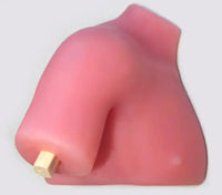 Modelo de entrenamiento artroscopico articulacion del hombro Silicon por endoscopia
