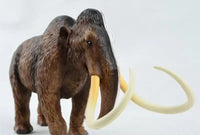 Modelo Anatómico 4D Mamut o Elefante desmontable
