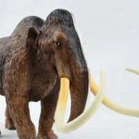 Modelo Anatómico 4D Mamut o Elefante desmontable