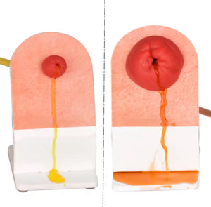 Simulador de ostomia colostomia urostomia