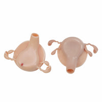 Simulador Uterino histeroscopia  utero endoscopia