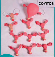 Modelo de lesion uterina uterina de  cervix
