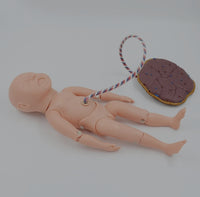 Modelo bebe recien nacido con cordon umbilical con placenta neonatal
