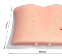 Simulador ultrasonido guiado punsion renal - biopsia

