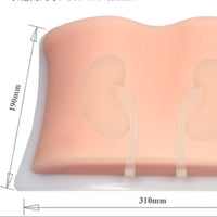 Simulador ultrasonido guiado punsion renal - biopsia