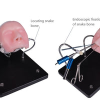 Simulador para endoscopia nasal - craneo