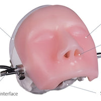 Simulador para endoscopia nasal - craneo