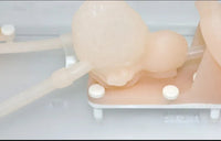 Simulador laparoscopia urologia flexible urologia urologo
