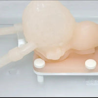 Simulador laparoscopia urologia flexible urologia urologo
