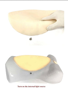 Simulador laparoscopia abdominal ginecologica