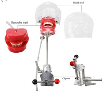 Simulador Dental - Desmontable
