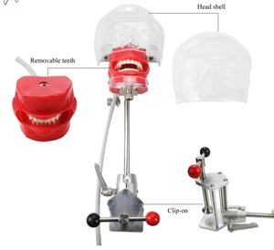 Simulador Dental - Desmontable