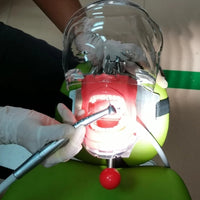 Simulador Dental - Desmontable