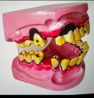 Modelo De Dientes De Fumador
