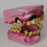 Modelo De Dientes De Fumador
