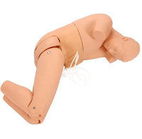 Simulador de puncion lumbar completo
