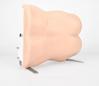 Simulador de entrenamiento de endoscopia unilateral, cirugía de columna  con modelo de columna lumbar
