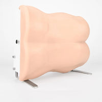 Simulador de entrenamiento de endoscopia unilateral, cirugía de columna  con modelo de columna lumbar