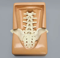 Simulador cirugias de Ligamentos Ortopedia Trauma

