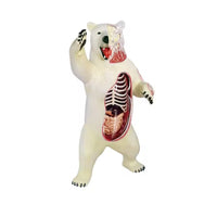 Modelo Oso polar negro MVZ
