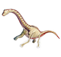 Modelo de Dinosaurio Trex MVZ
