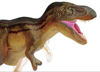 Modelo de Dinosaurio Trex MVZ
